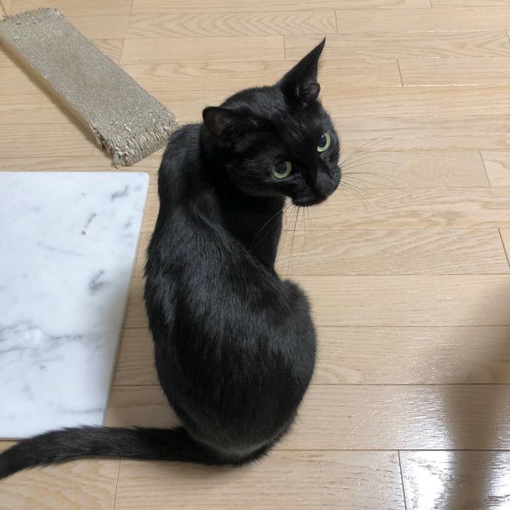 50ee71d5 f282 4372 9930 872b412372d7 1600088371668