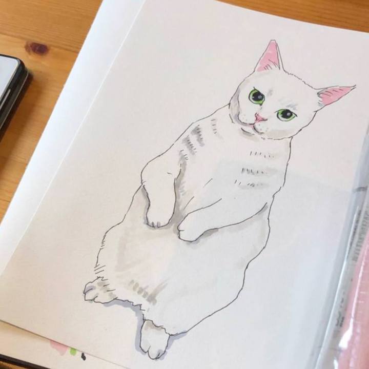 50ee731c 58c1 48f1 b489 82d06d554108 1608378732404