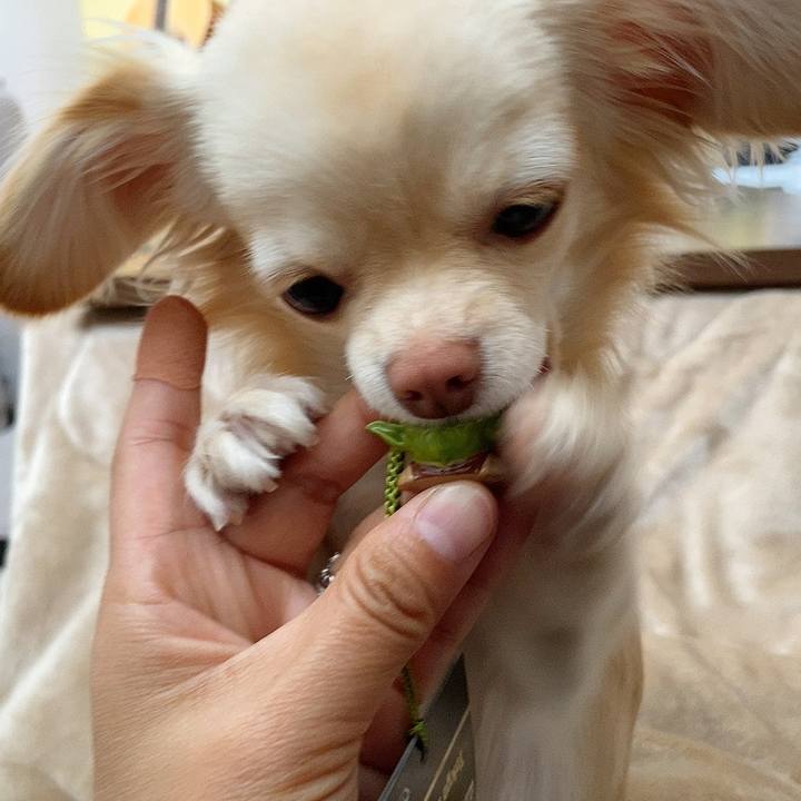 50ee7efa e726 4953 8187 53bab5cab7a9 1618109009076