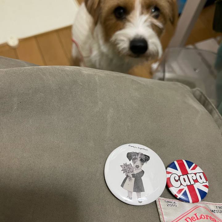 50eeb97e d412 4bd7 a4b7 79eb0f798baa 1768398227199