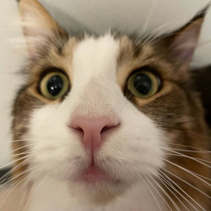 50eebd85 9f39 4454 926e b2daf1e3197e 1699042179078