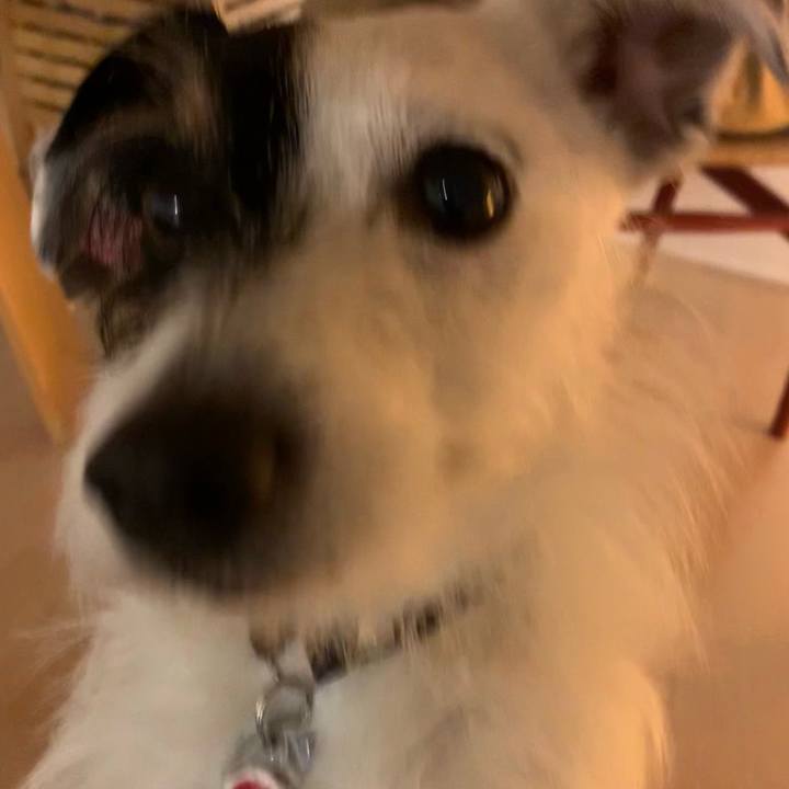 50eec393 45f6 4a55 97db d9d8a5b4562e 1618310782456