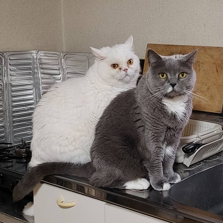 50eecb65 3ad4 471a be64 859282edc987 1771884385479