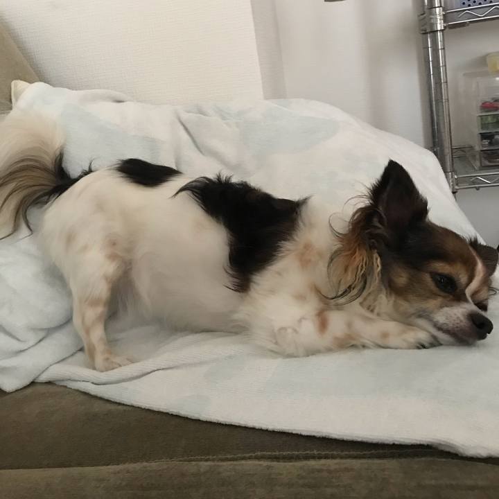 50eedf7e f197 46fc af2c 2c5ded516bcd 1569049988060