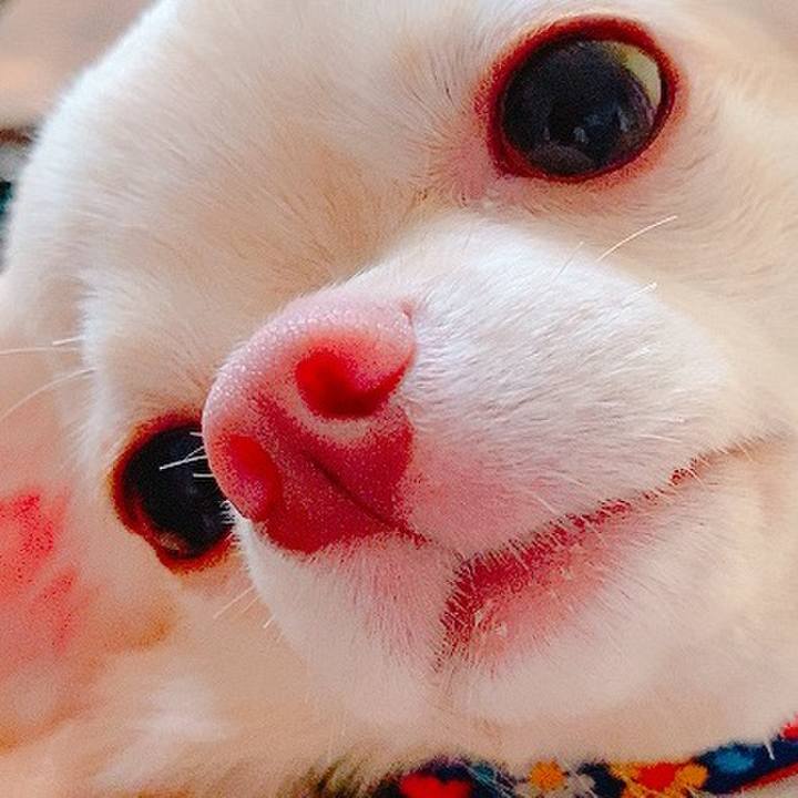 50ef2c95 3c8d 4a50 b831 5611757aa883 1632541341404