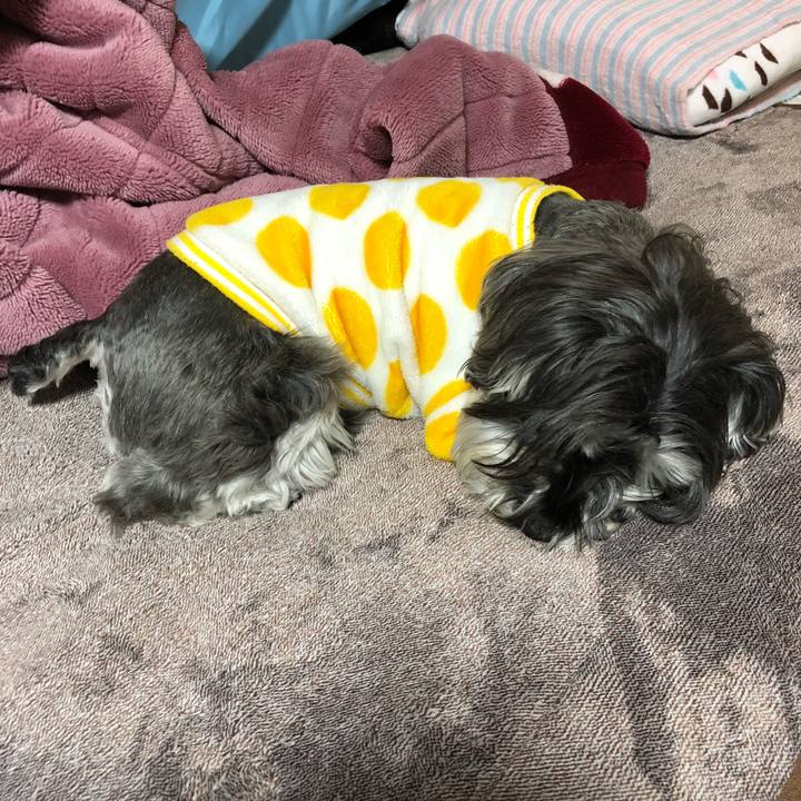 50ef5f51 76ac 478b aaa0 7917462334ba 1521379610200