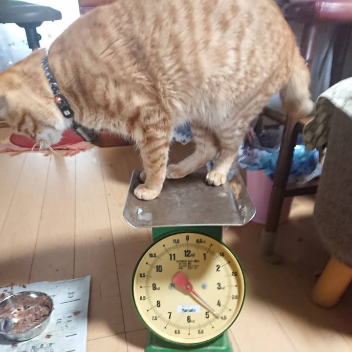 50ef67e4 4c45 4955 a914 f8b5df5cffce 1651494929510