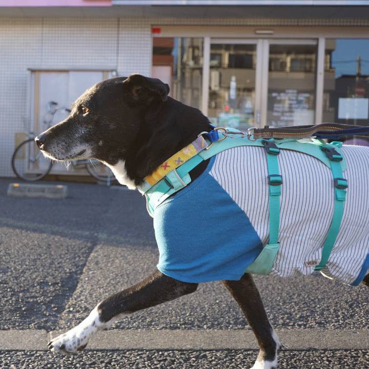 50ef9c66 b2ce 49d5 9795 f895fc43d24c 1769907679132