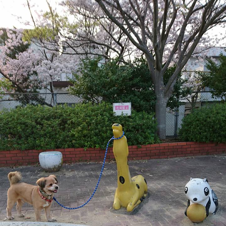 50efa37a 2758 4ed1 b87d 1faddb71f777 1522498445326