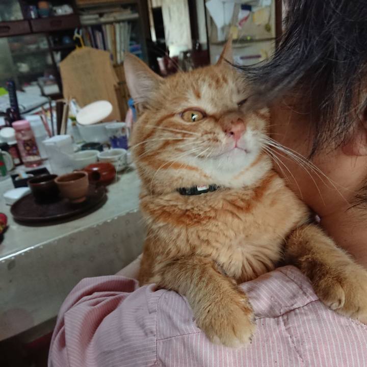 50efbcec e6b5 4838 bd63 0465605142e7 1657659571076