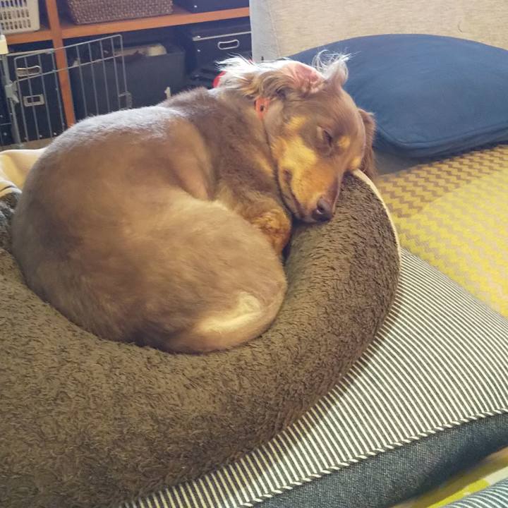 50efd7c8 1a96 4b0a a1c5 fdc0cb2223e6 1561773601513