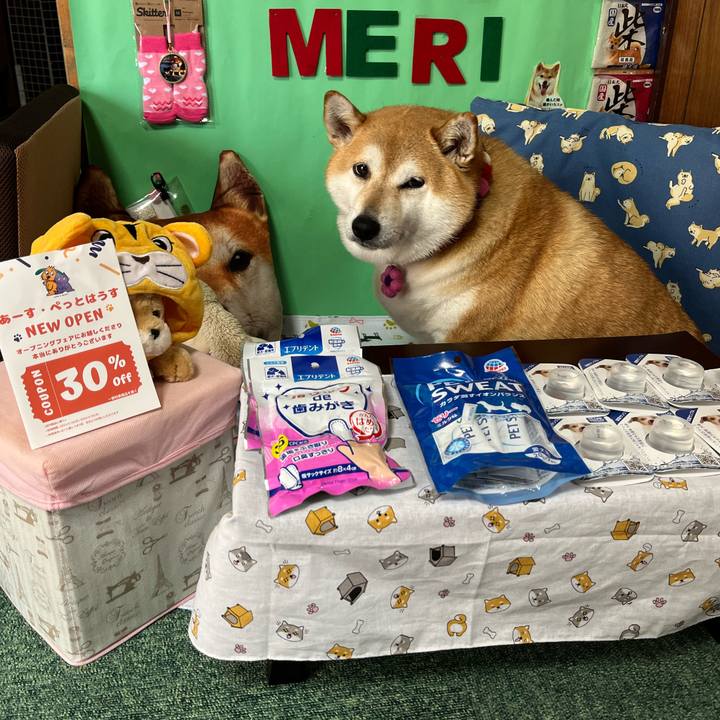 50f01e9d f919 4d0e b970 8fab763c2e15 1653651981971