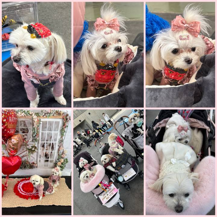 50f03a67 862b 428d 8687 14eb902a1db8 1738498219908