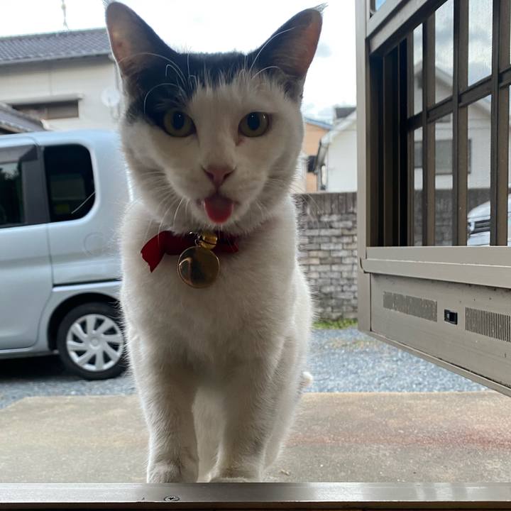 50f04f20 e3ef 4818 b65a 994098943df3 1639347873729