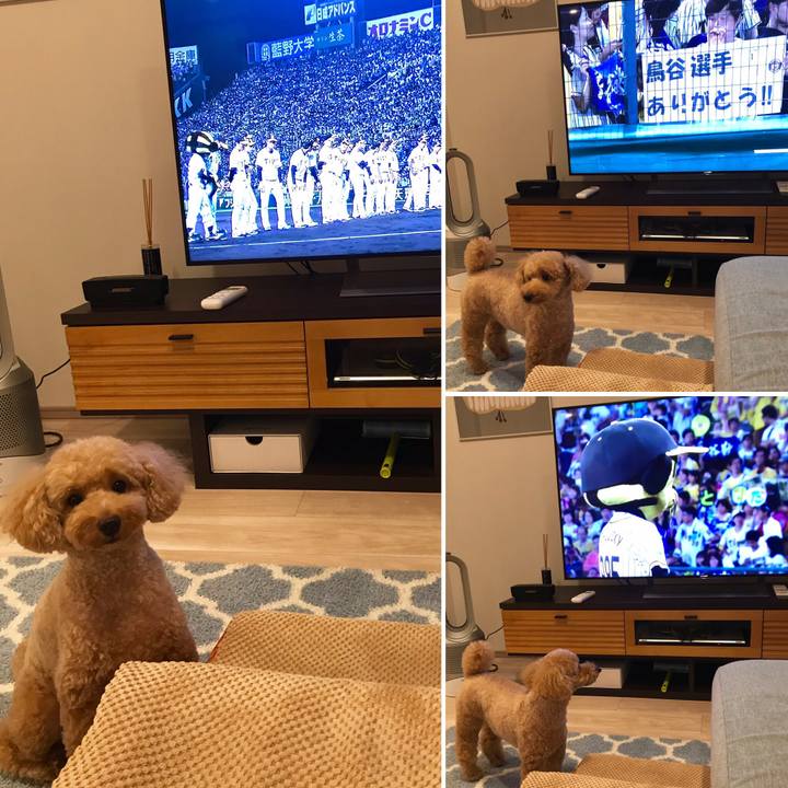 50f05d79 a473 4dfc b4b8 f53092ad4a70 1569849092535