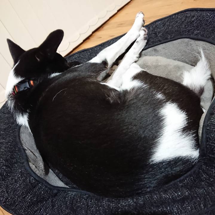 50f06113 c82d 4f1e a095 8f8d7de18b45 1605796067797