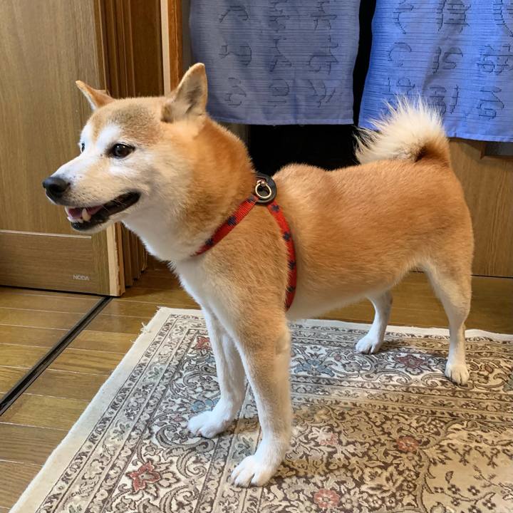 50f0879a 7dcb 49f7 b097 aaec5301d648 1688466681200