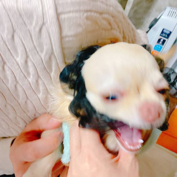 50f0a7a9 f306 4b31 92b1 ee6c75e11819 1641532018627