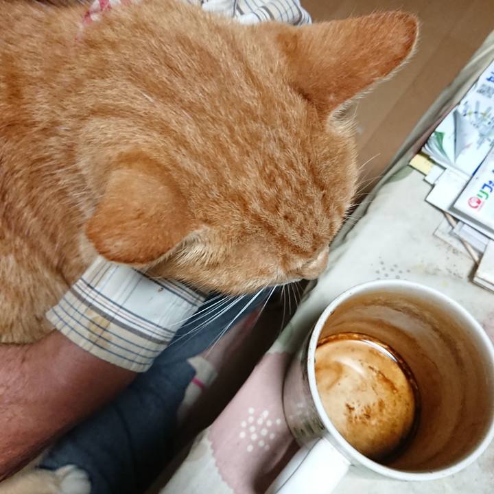 50f0f16e 71dc 4ee7 9193 8fe044f73367 1600808911826