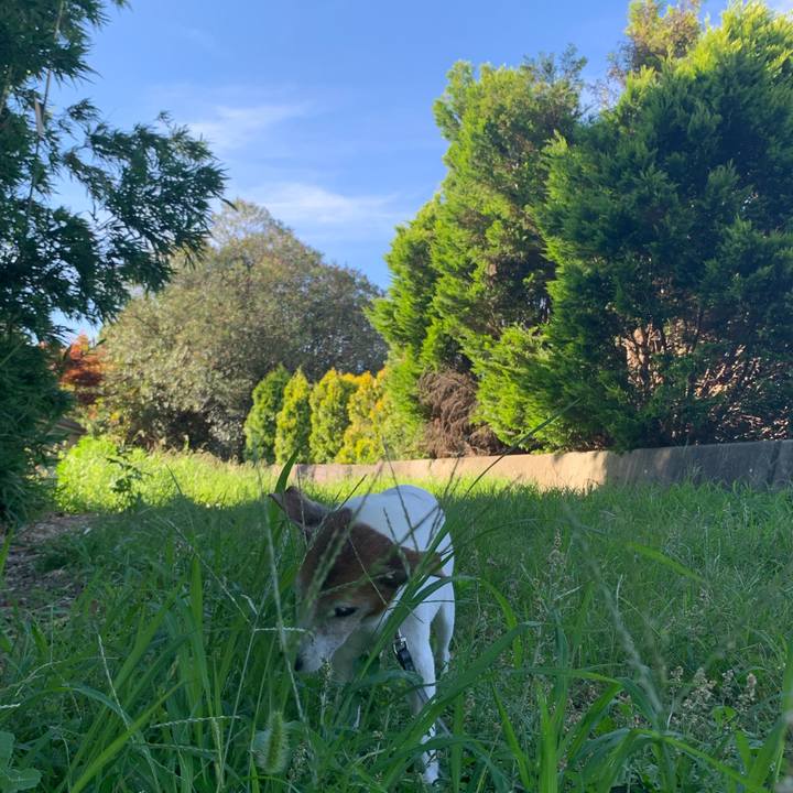 50f132e1 05a0 422f 9965 84eb6e2cbab0 1626907346235