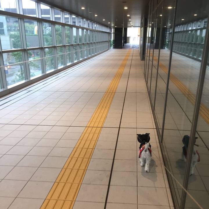 50f13f48 0d0b 46d1 a9ca 02015ed071b9 1509255256537