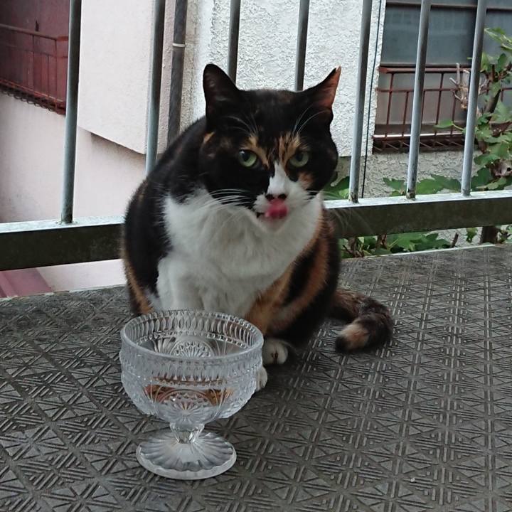 50f157ac fd28 4a21 a8ec e831e910036d 1635290783978