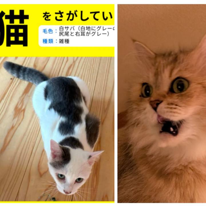 50f1736a 0667 47fe b824 370cc941b7b1 1756679683069