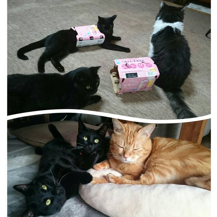 50f17f86 775a 4f58 9fc3 21fa22b4bd71 1528188509583