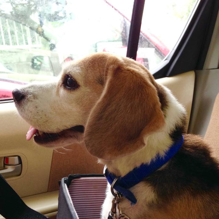 50f1a6b6 6e2a 4e96 80f5 4b68a5a2f384 1726702703412