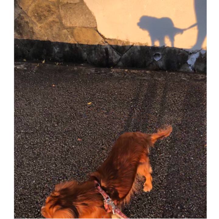 50f21297 d32a 4647 81b5 d6c9f7b014a5 1568539225551