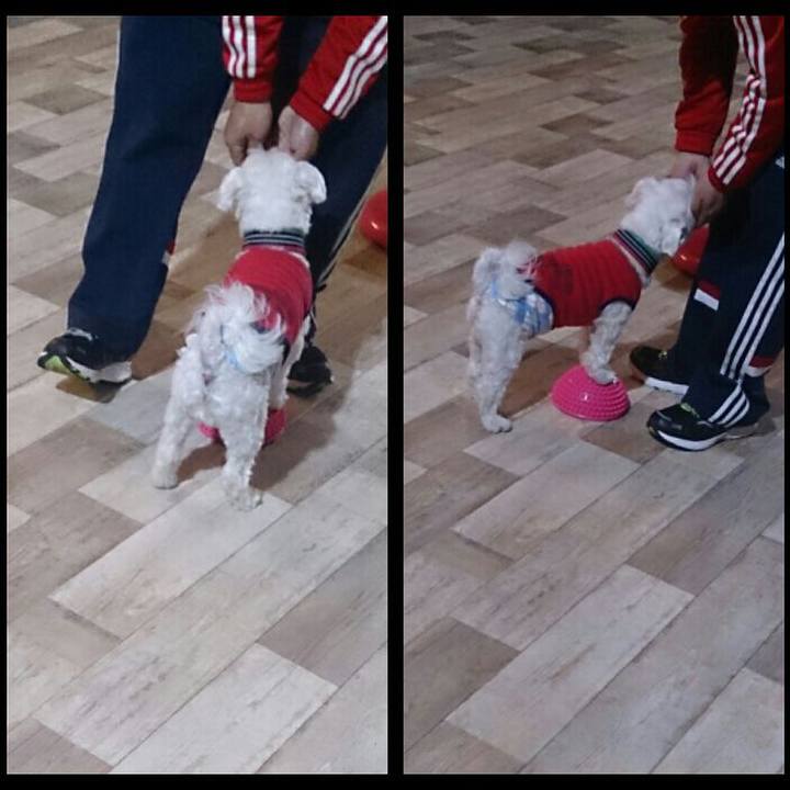 50f231d7 0450 4adc 9941 1b1344d57b91 1522501881883