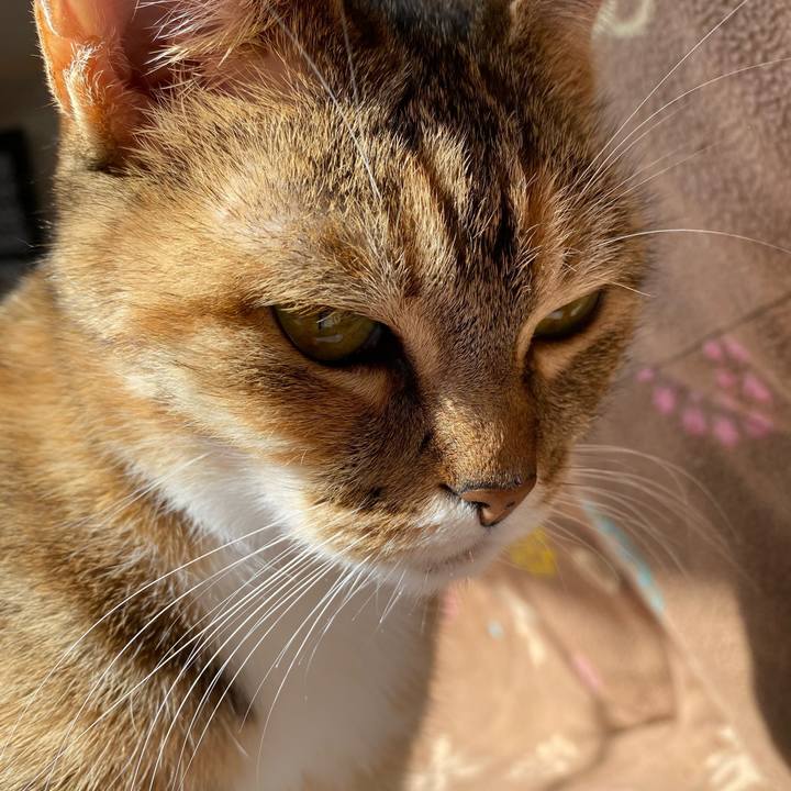 50f23f16 be74 40ee 832f d229b9fc0331 1613007732229