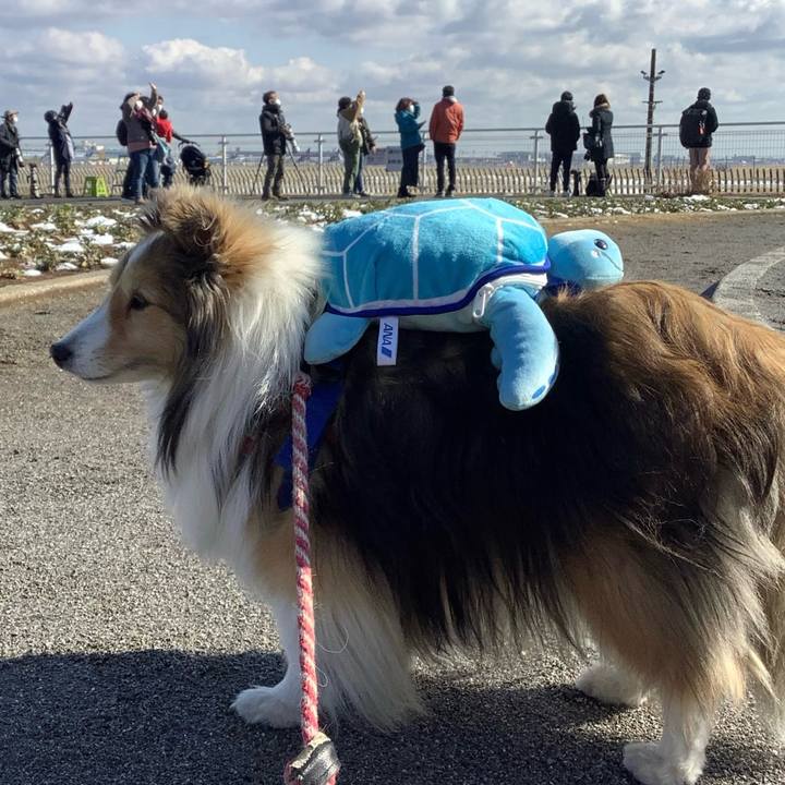 50f2472c 94f8 4532 9a2c 8e4e794b4e08 1757798609279