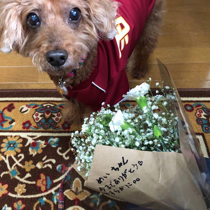 50f255ac b976 40c7 9f84 32d22cf754ce 1594902182177