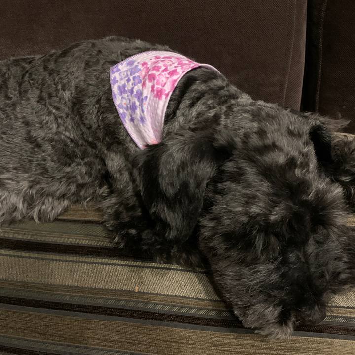 50f2653d 6978 4823 bd27 3eb7396f17b8 1653921663111