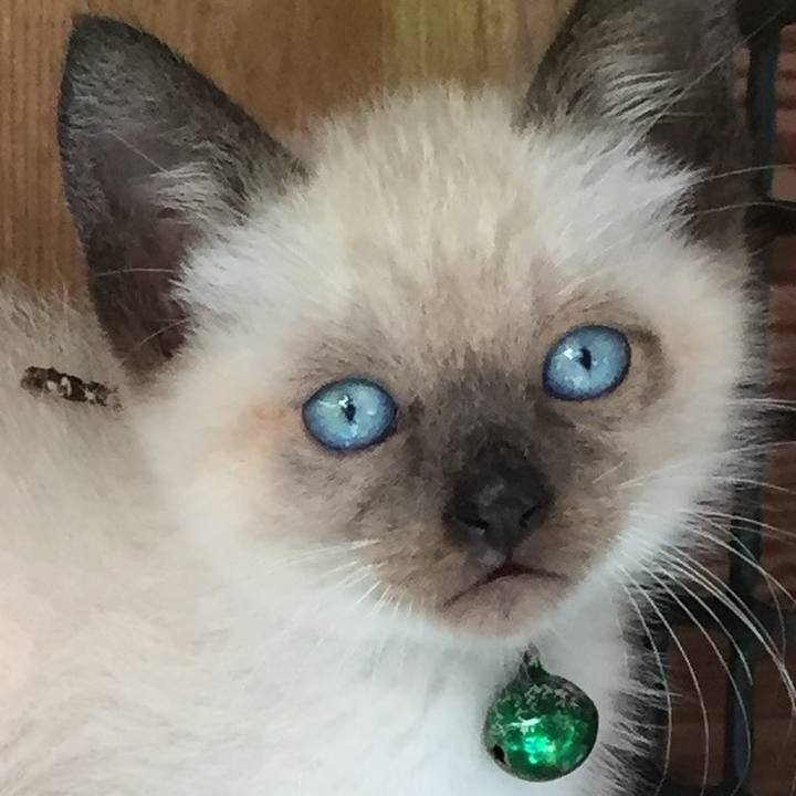 50f26e71 b36a 47a5 9de6 267f552600ee 1572913155481