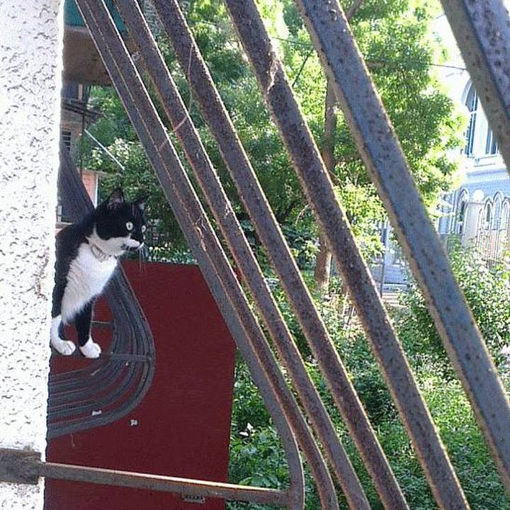 50f27607 2ad9 4be9 aad9 989b3c48f7cf 1583603924817