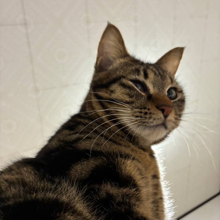 50f27f2e 5c75 49e6 b0b1 6b29494c36b2 1770464614721