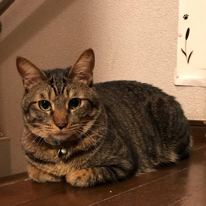 50f2e3fd 304f 4a45 ad96 45a7ecf54a2d 1538401938465