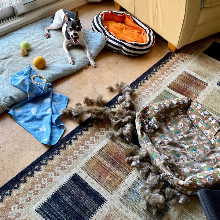 50f2e6b9 c2a8 42ad 88da bffb9bd7678f 1598306915657