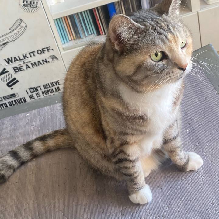 50f30048 3724 42c8 a0b0 c24db7e19e52 1674953181561