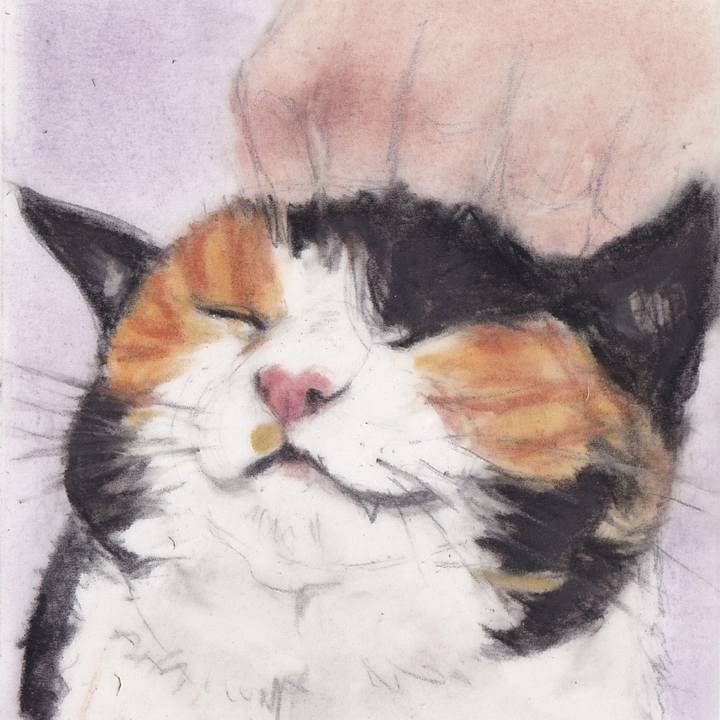 50f30716 8710 4a77 9797 8ba63781be6b 1743934859743