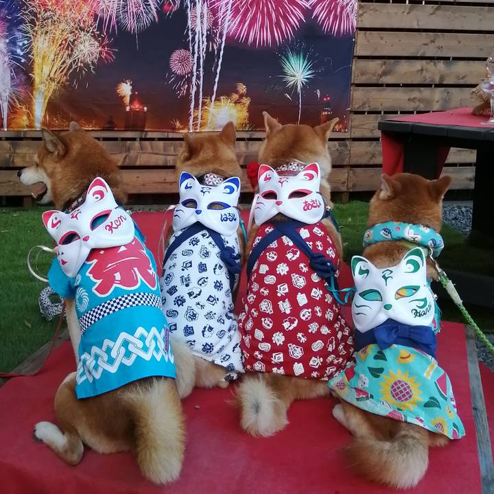 50f31ebb def3 4e69 bc8d fef396991cc8 1692937034341