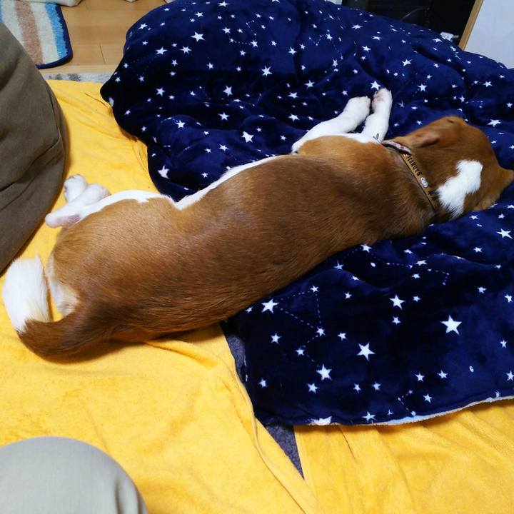 50f33a37 2989 4e7f 93bd 0c5c3b7d0ed2 1556719650675