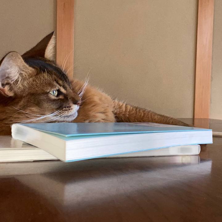 50f349b0 2927 44a8 a93e 2fac5f6b8d7d 1691481504576