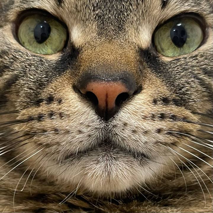 50f373ee 550d 4881 87ad e94529b0722c 1771500111200