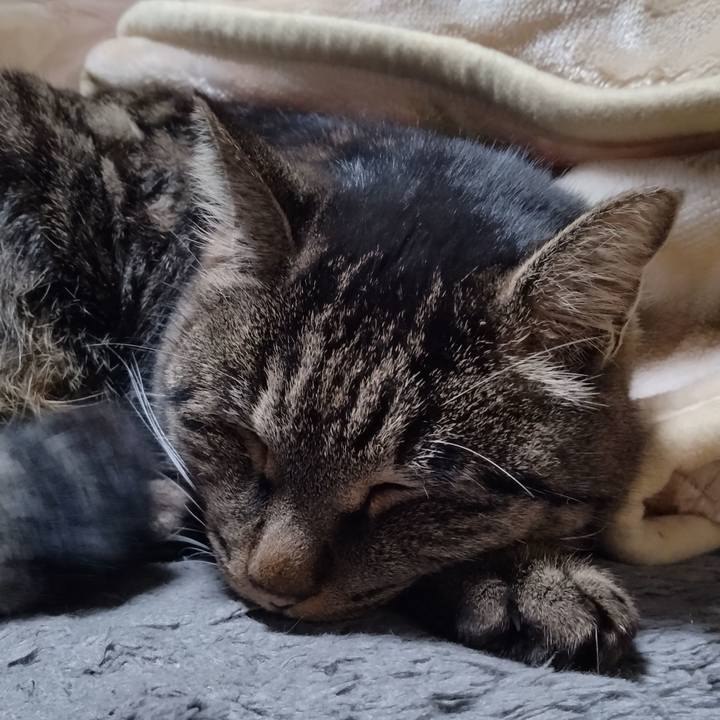 50f394ba 14ec 4d5a 99a4 6a0ad5dbc3c0 1672315644930