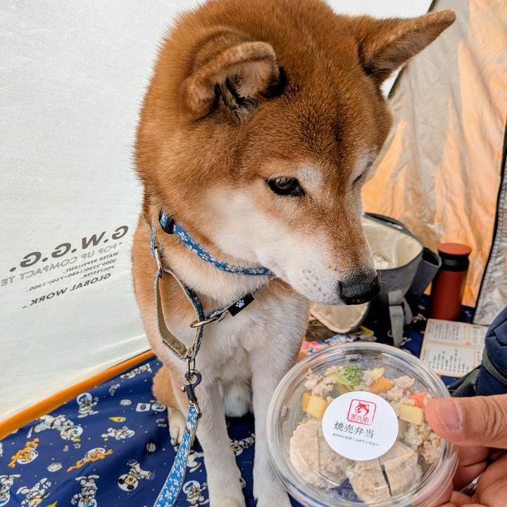 50f39581 a075 4eef 8f28 5ff8e58b71e3 1772518802436