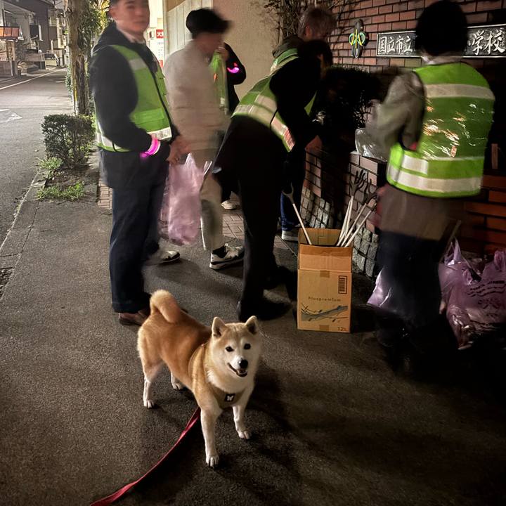 50f39fbe 0f3f 4c3d a502 0261b21cc12c 1743106546478