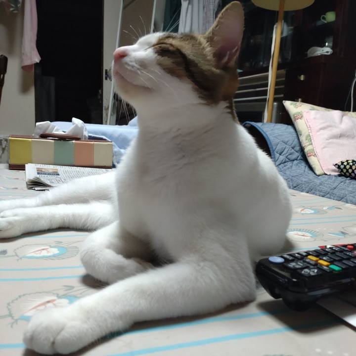 50f3b73a 325a 480a 91ce c6cd278b8c7f 1695123764156